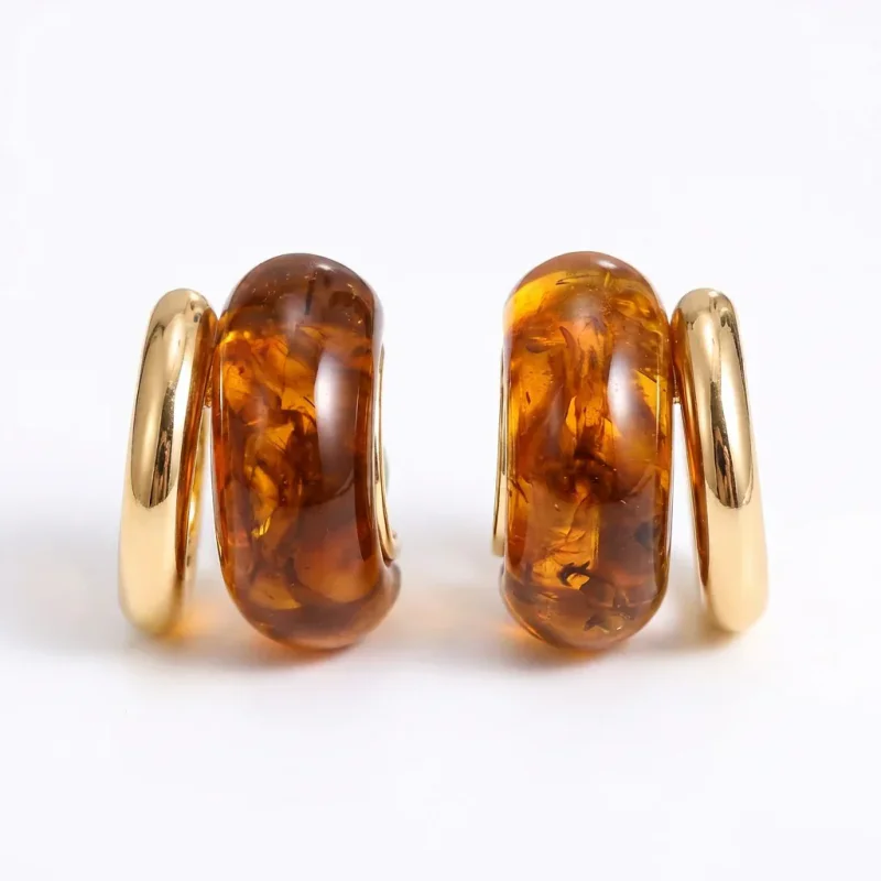 Maillard Natural Tigereye S925 Silver Earrings - 1